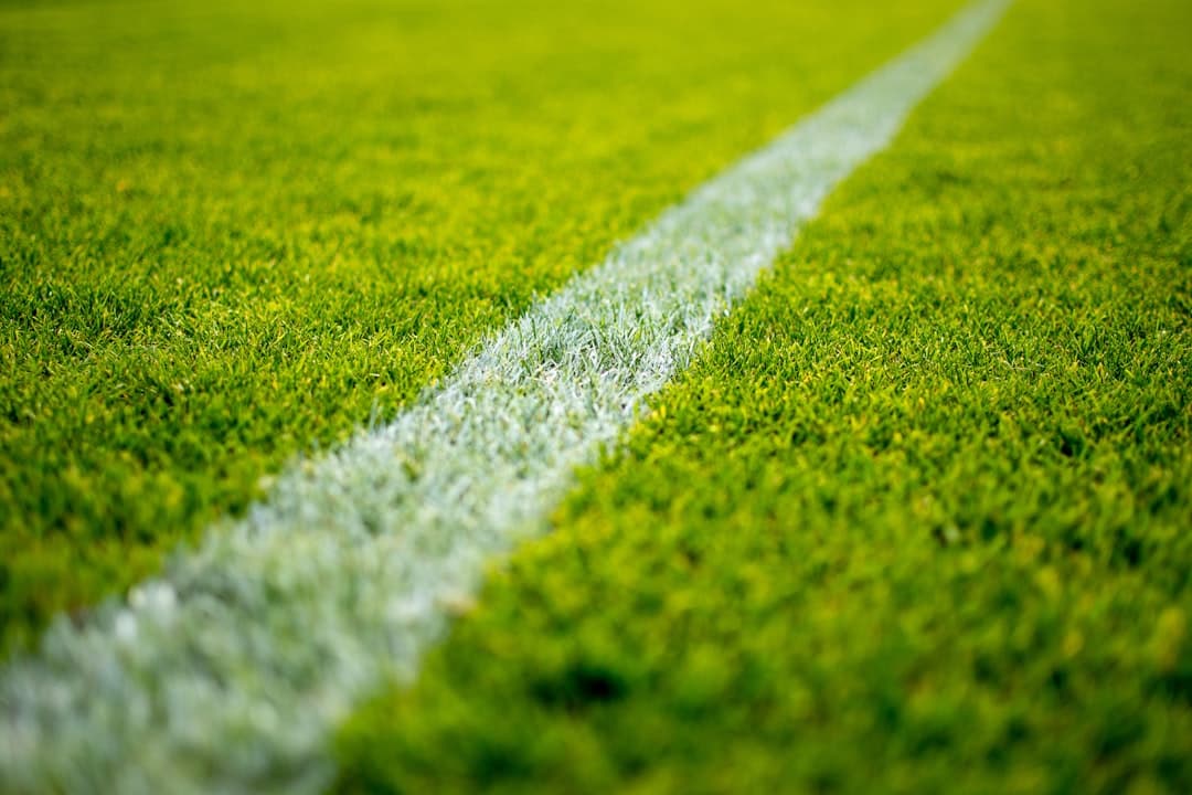 Campo de césped verde bajo el sol, en la sala de chat de Levante UD