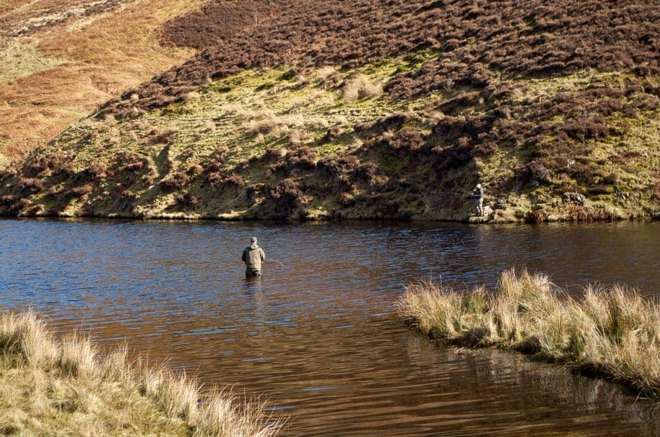 Un hombre pescando en un lago, en la sala de chat de Pesca