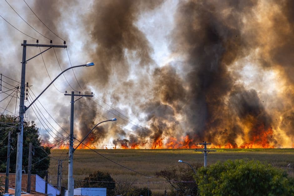 Prado y hierba ardiendo con llamas intensas y humo