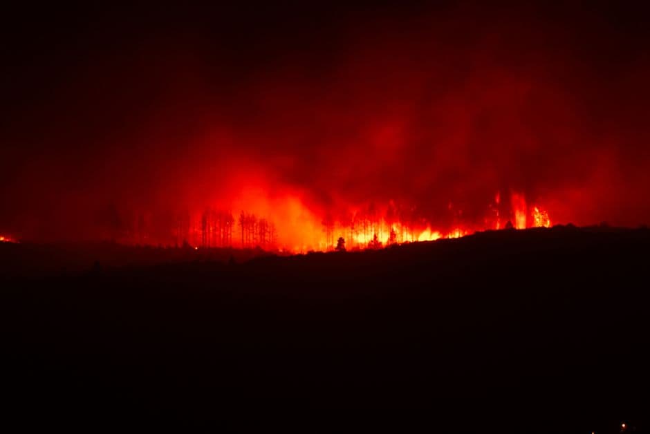 Incendio forestal con árboles y maleza ardiendo