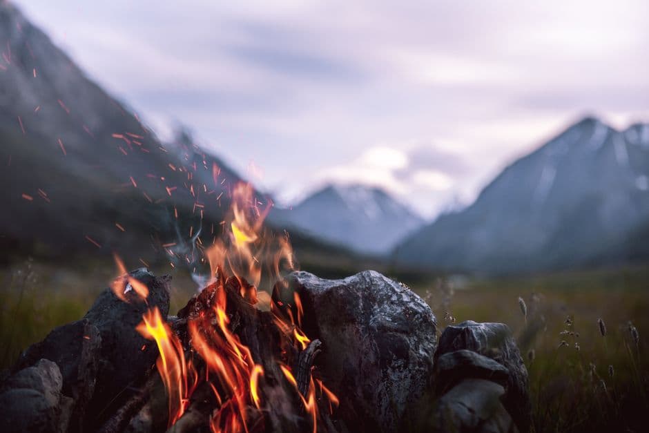 Primer plano de bosque ardiendo con fuego intenso y humo