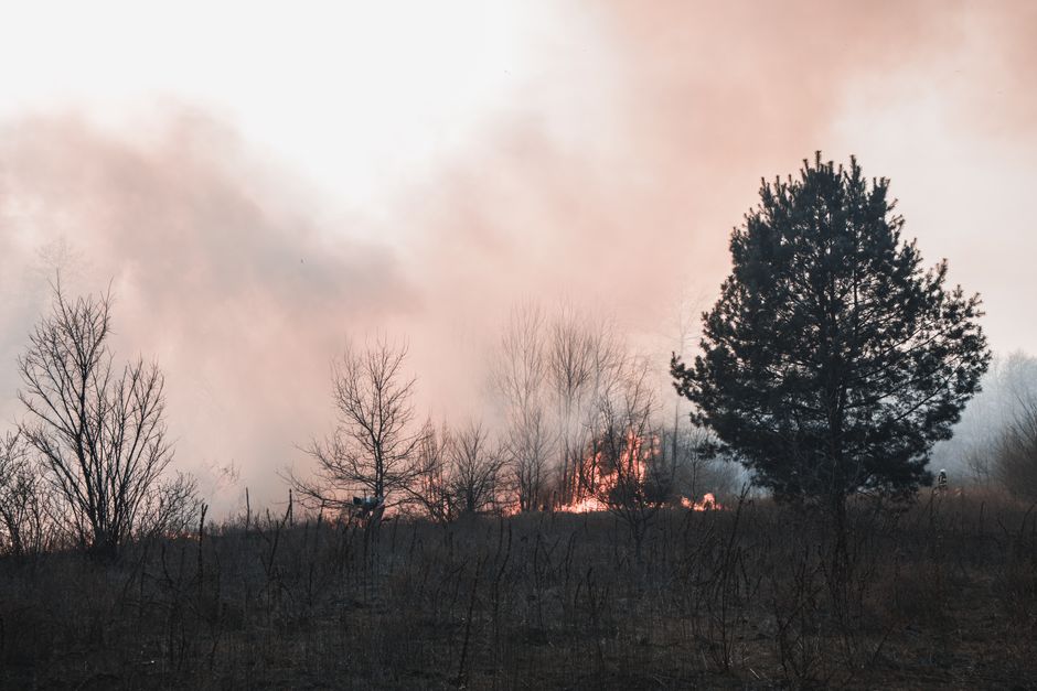 Incendios en Madrid y Ávila: el mayor fuego de la historia de España entra en fase crítica de contención