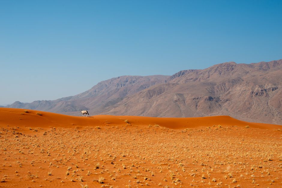 Melyssa Pinto y Mario Casas eligen Namibia para una escapada de lujo y naturaleza