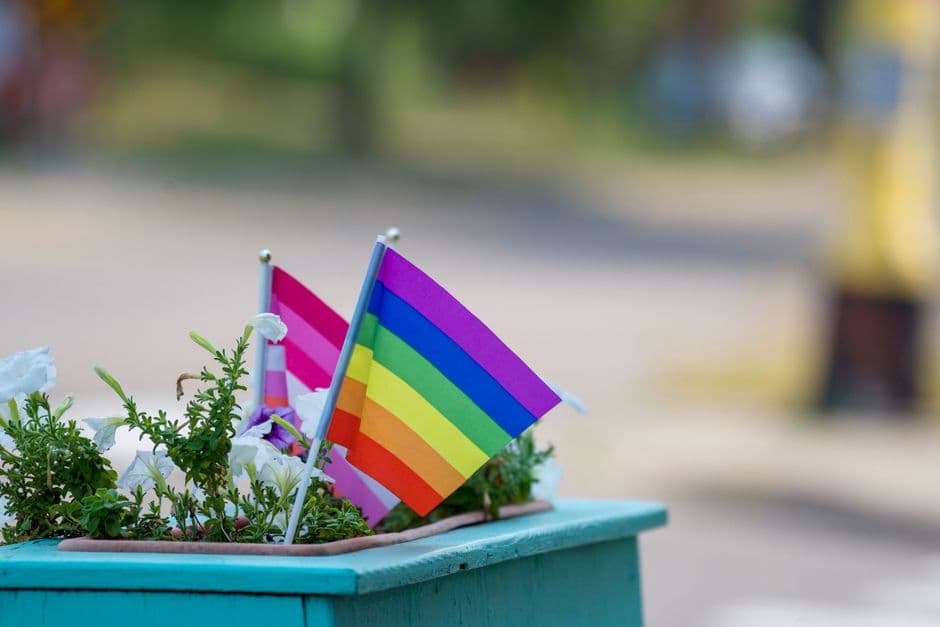 Bandera arcoíris de colores en una maceta, en la sala de chat de LGBTQ+