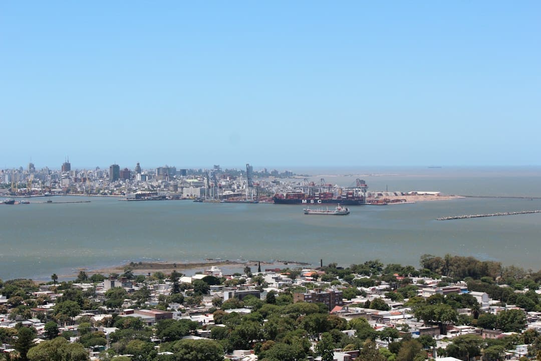 Gran masa de agua con una ciudad al fondo, en el chat de Artigas