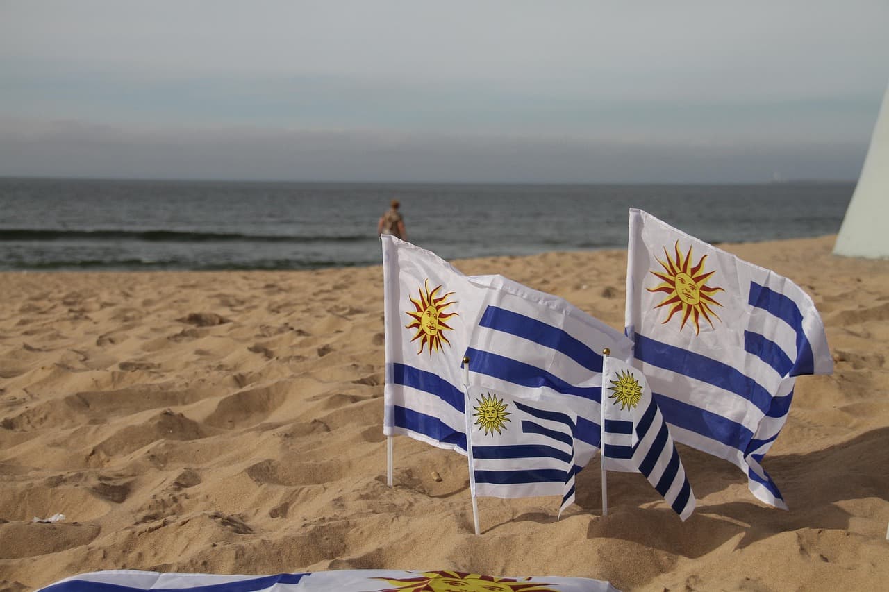 Bandera de Uruguay con franjas blancas y celestes y sol amarillo, en el chat de Durazno