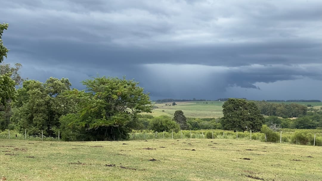 Campo amplio con árboles y cielo nublado, en la sala de chat de Florida