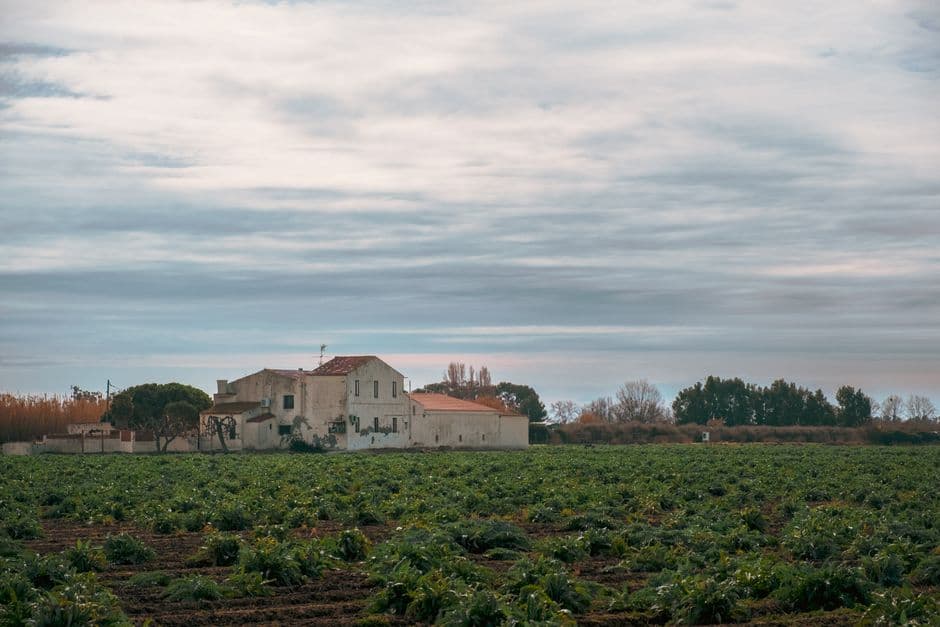 Campo con edificios agrícolas al fondo, en la sala de chat de El Prat de Llobregat