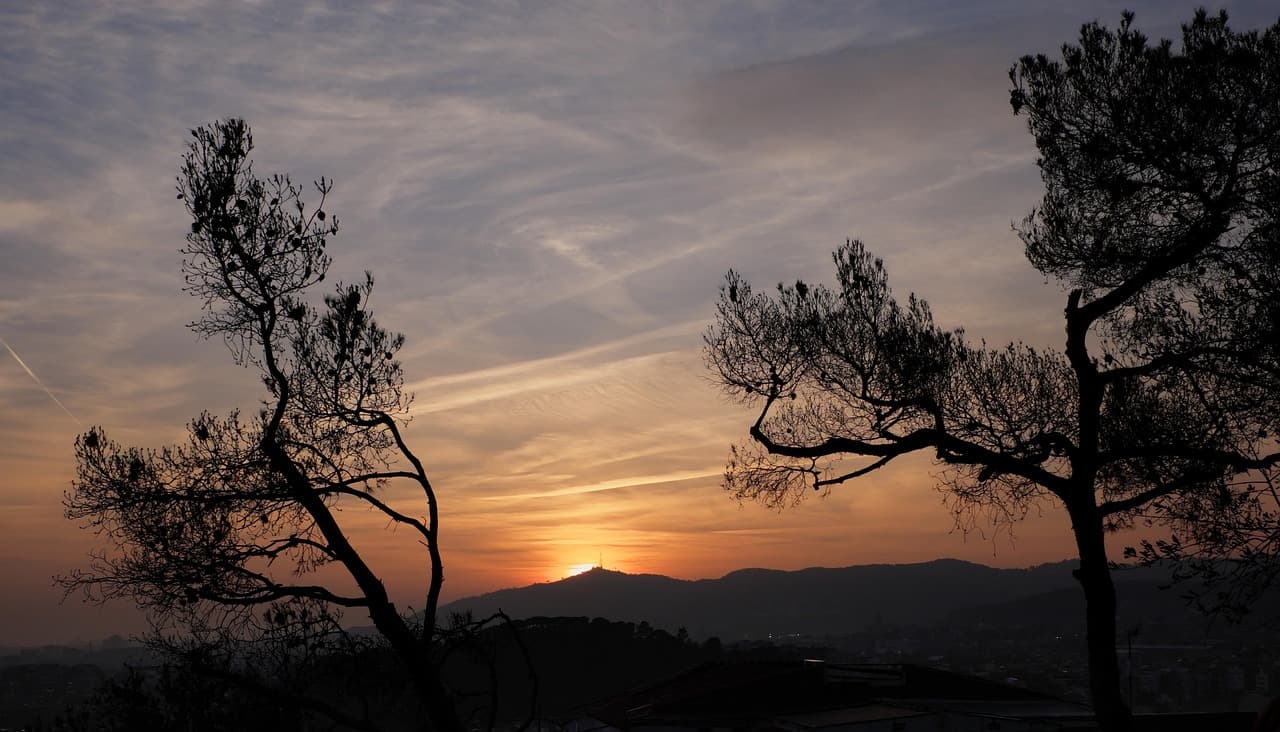 Árboles bajo cielo azul con panorama occidental de Barcelona, en el chat de Granollers