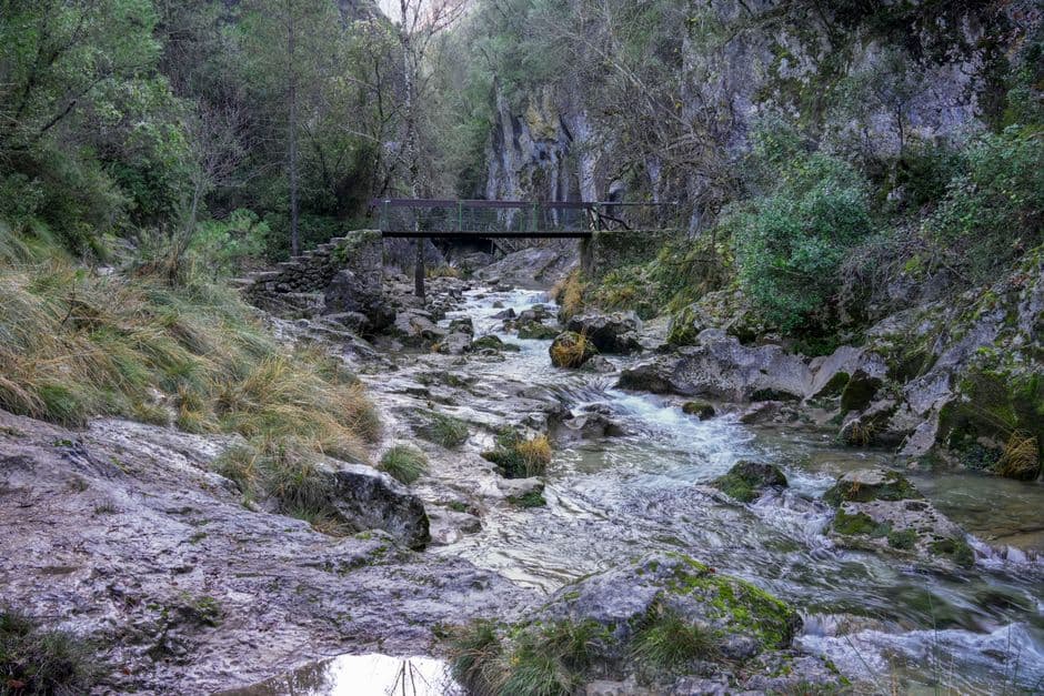 Río tranquilo en un parque natural, en la sala de chat de Mollet del Vallès