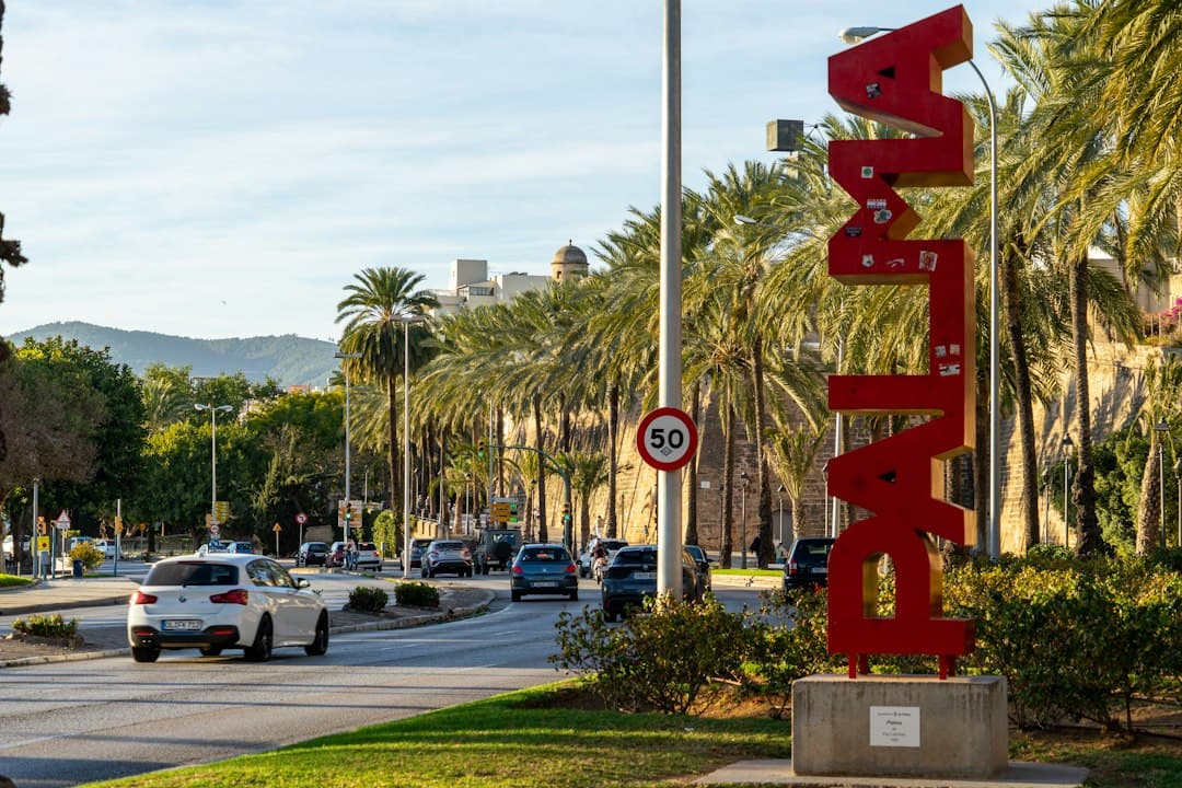 Calle con coches aparcados al borde de la carretera, en el chat de Marratxí