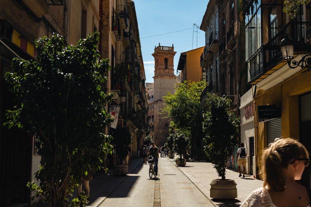 Vista de Alaquàs, España