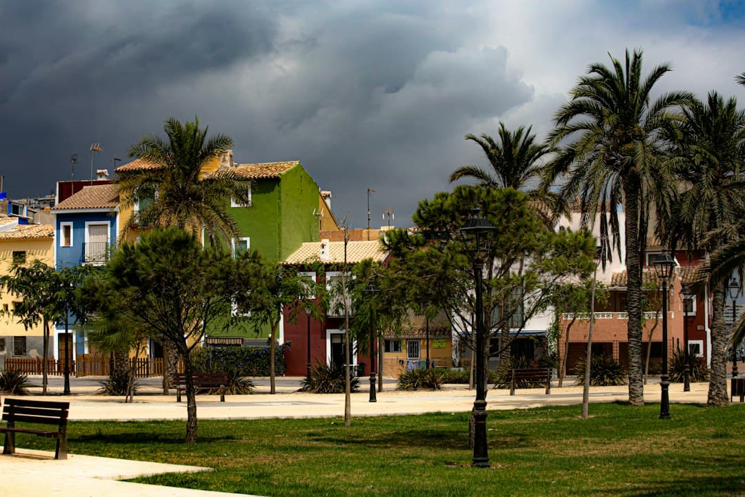Palmeras verdes junto a edificio de hormigón marrón bajo nubes grises, en el chat de Massamagrell