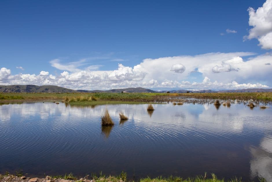 Paisaje de verano con río, en la sala de chat de Puno