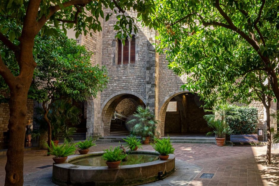 Árboles y plantas en patio de edificio antiguo, en el chat de Badia del Vallès