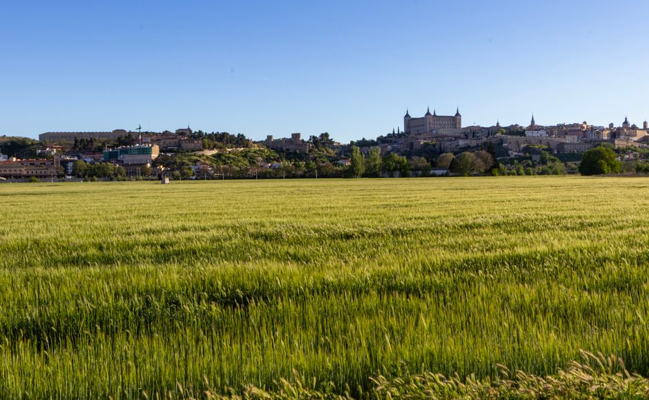 Foto de Campos