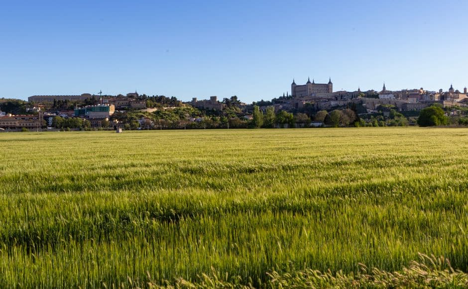Vista de Campos, España