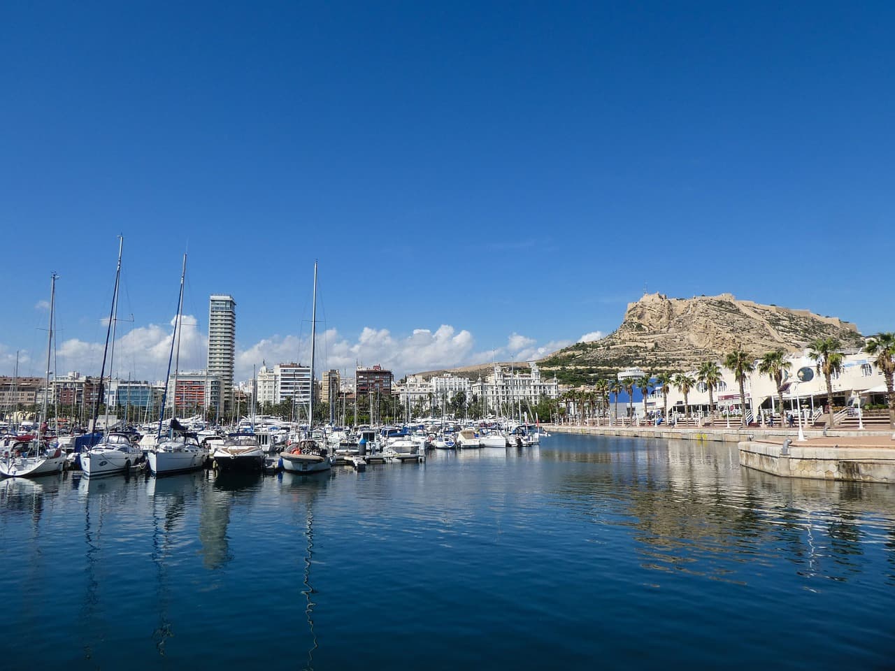 Vista de Alicante con edificios y mar, en la sala de chat de Picanya