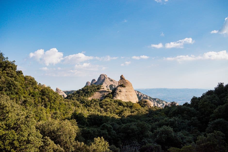 Montaña rocosa rodeada de árboles verdes, en el chat de Sant Vicenç de Castellet