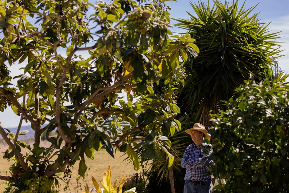 Hombre con sombrero entre árboles en un campo, en el chat de Buñol