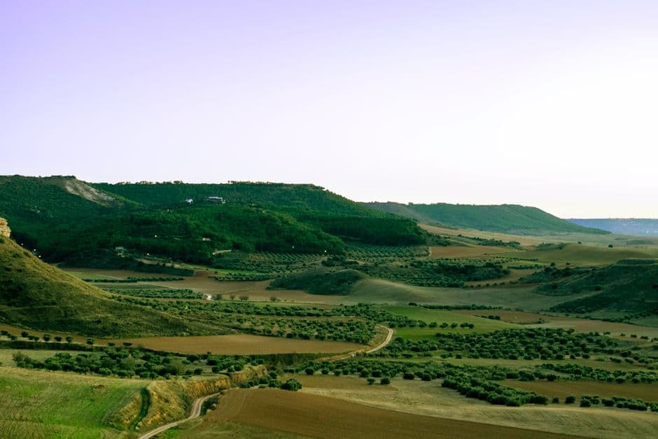 Campos verdes y colinas onduladas en la sala de chat de Segorbe