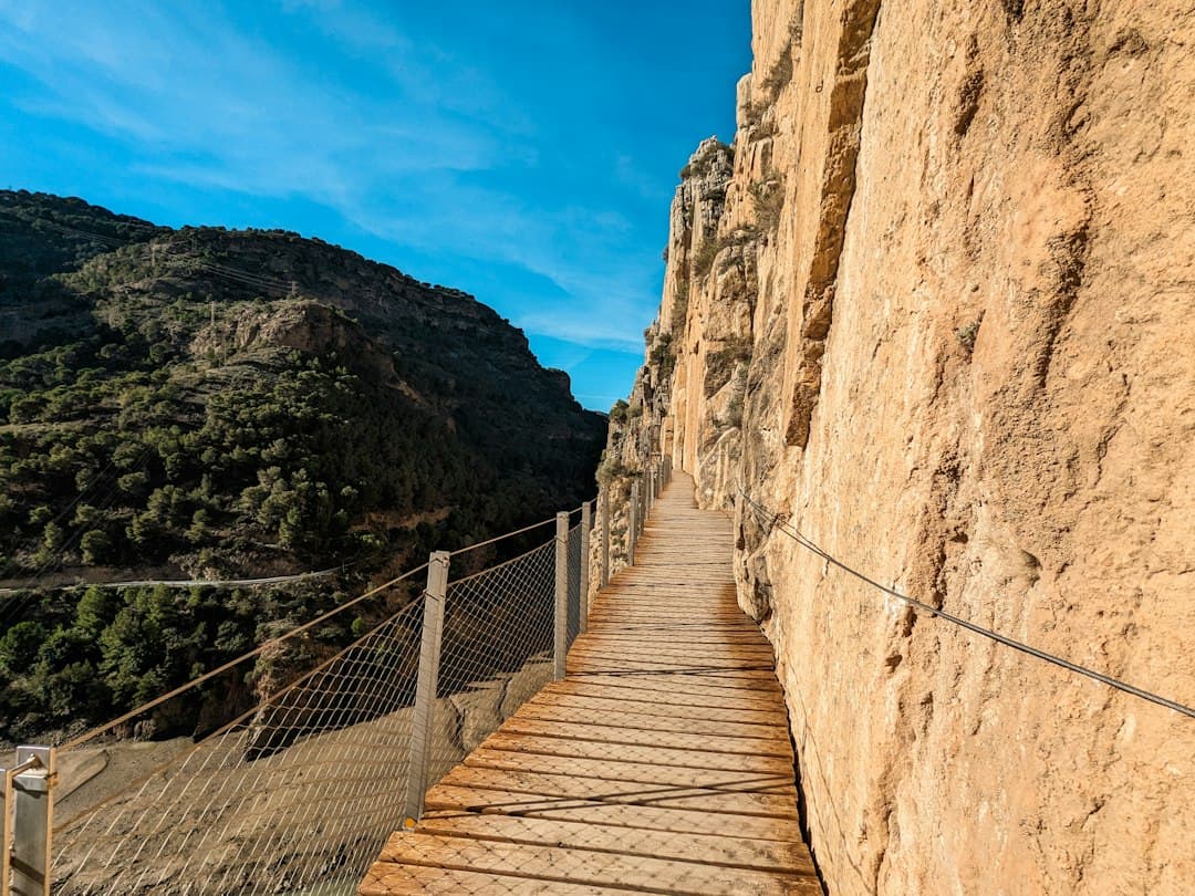 Una pasarela de madera que sube por la ladera de una montaña, en el chat de L'Ametlla del Vallès