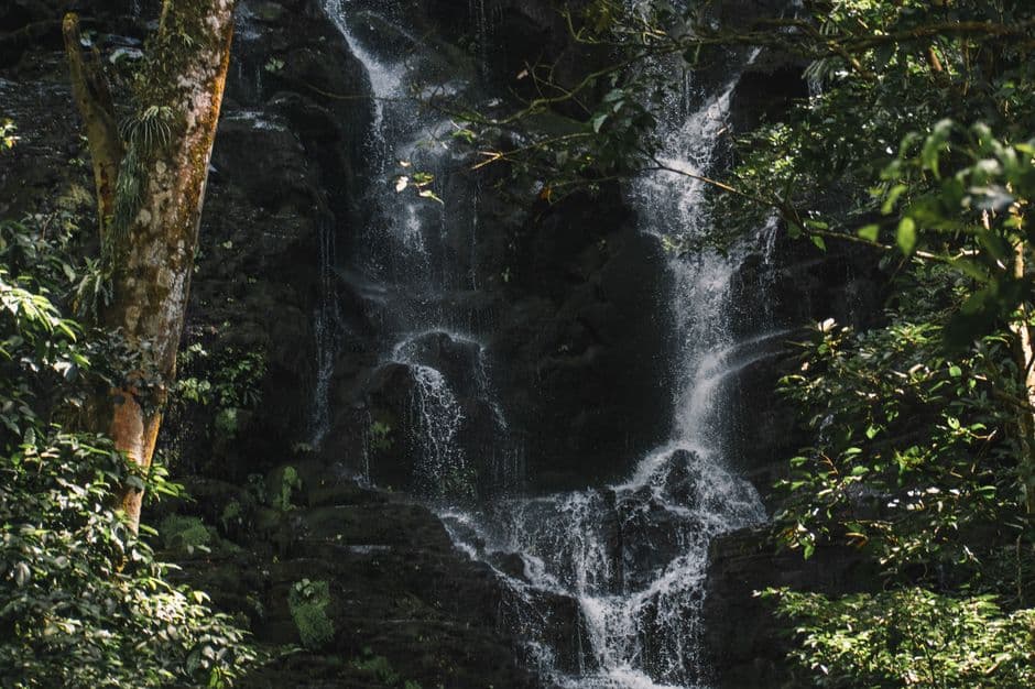 Cascada en el bosque tropical, en la sala de chat de Costa Rica