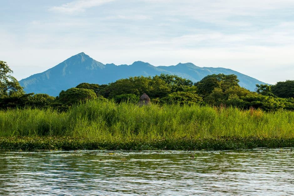 Árboles verdes junto a un río, en la sala de chat de Nicaragua