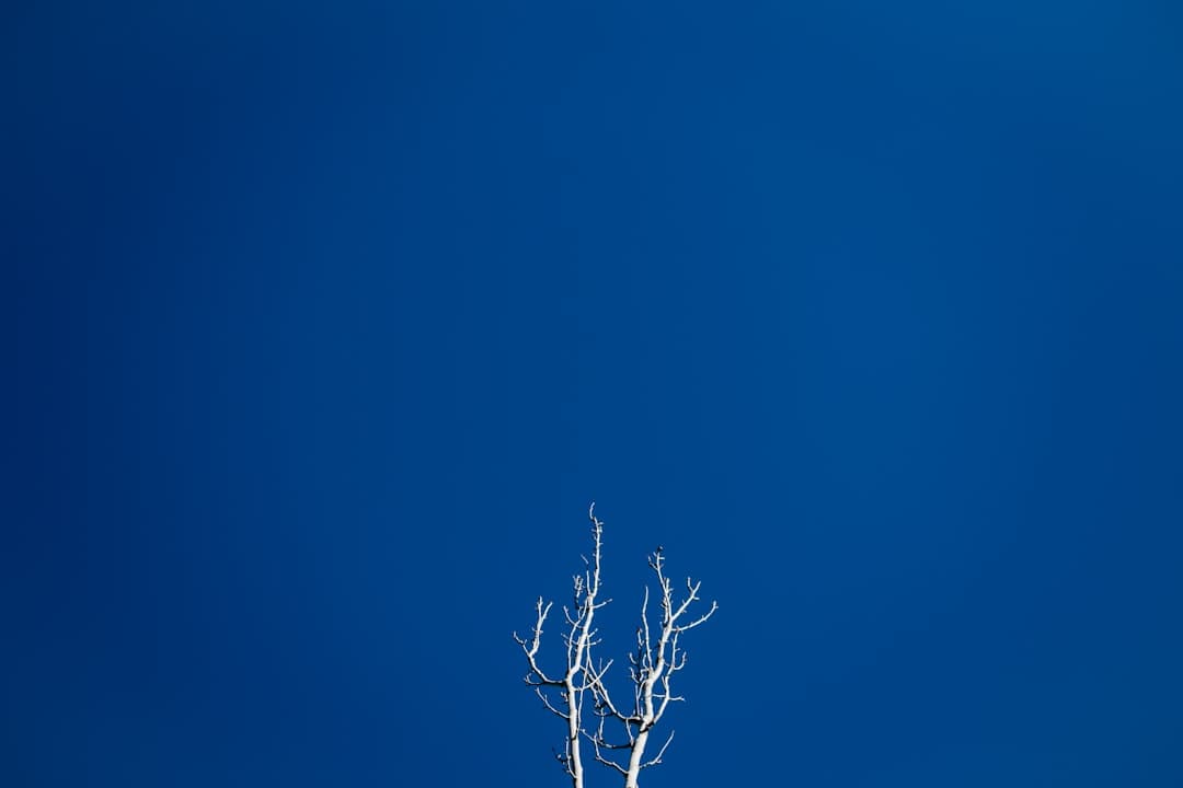 Vista de Banyoles, España