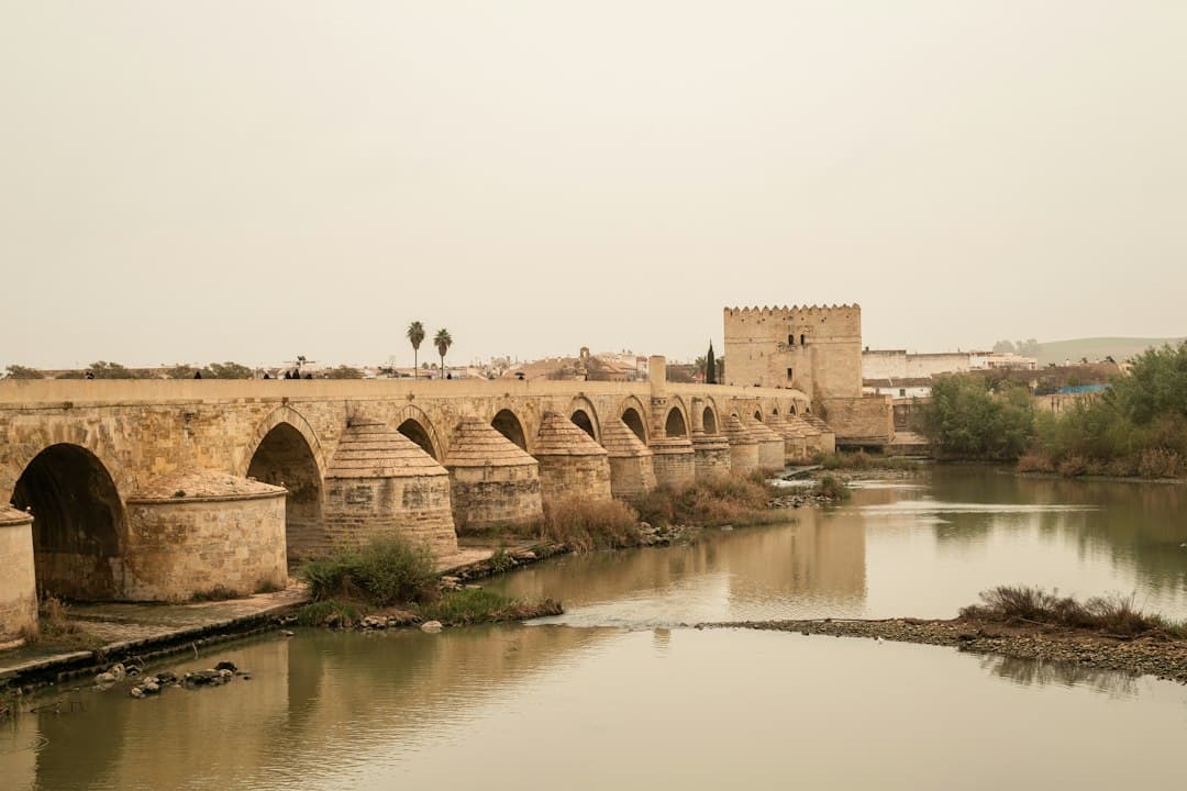 Puente de piedra sobre un río con un castillo al fondo, en el chat de Cabra