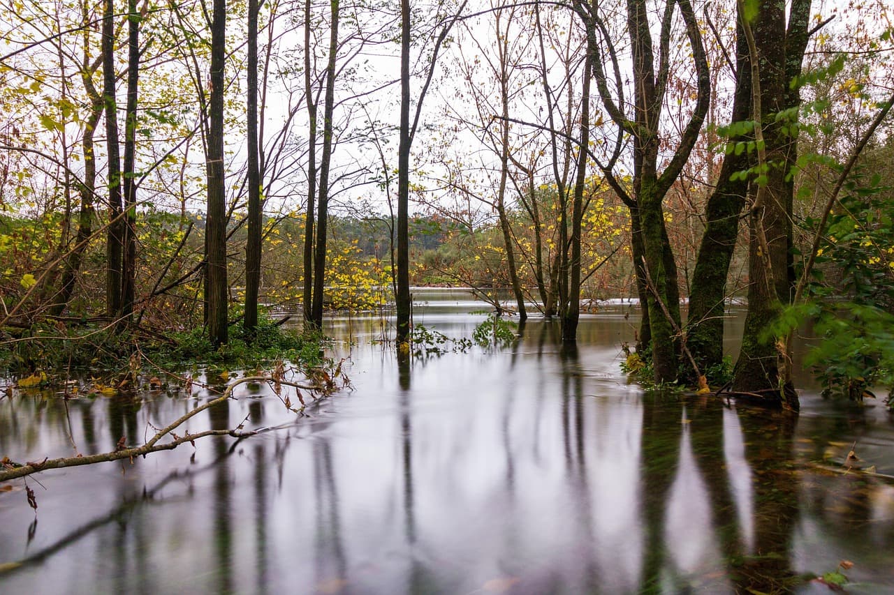 Paisaje natural con río, en la sala de chat de Moaña