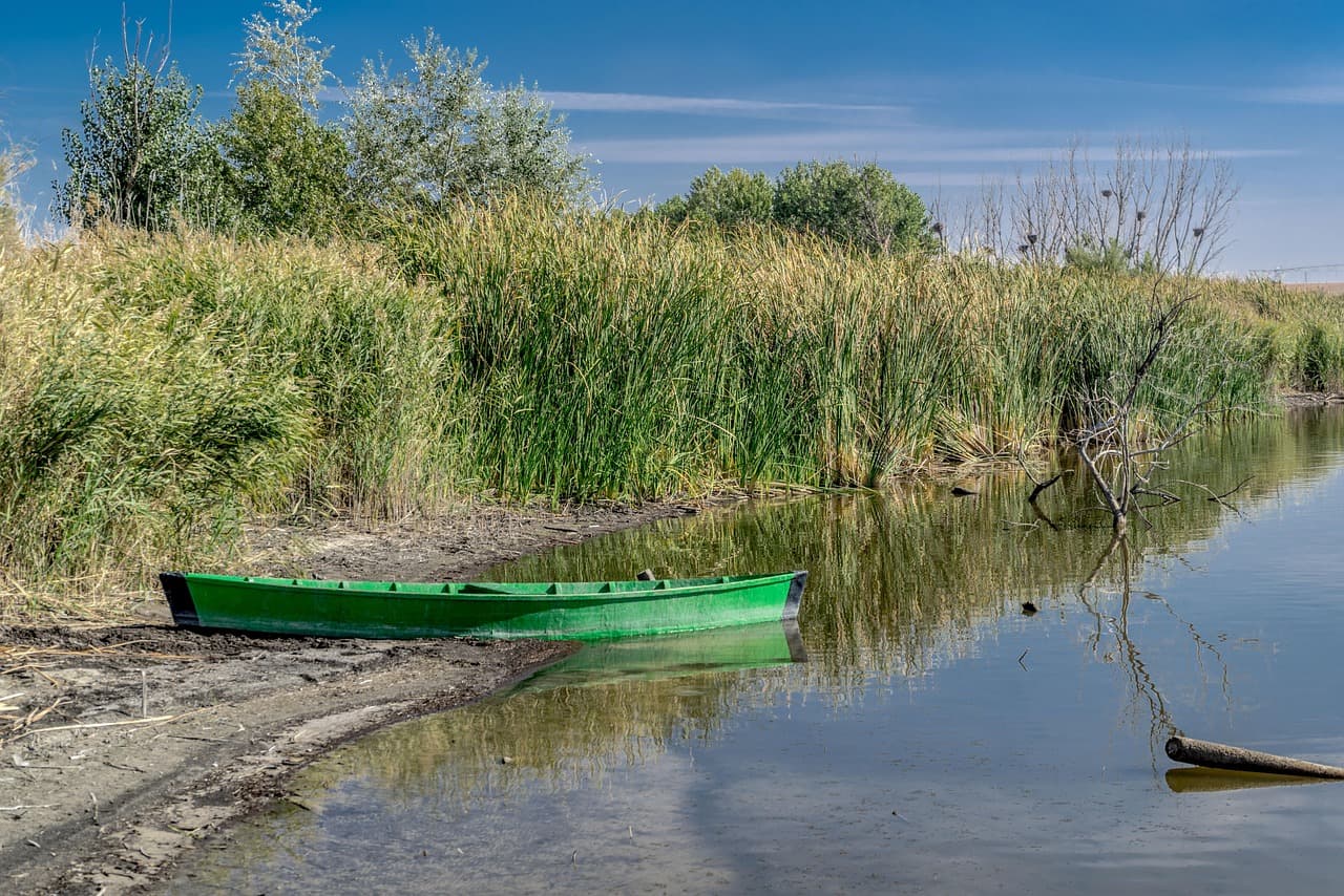 Barca entre vegetación seca en otoño, en el chat de Daimiel