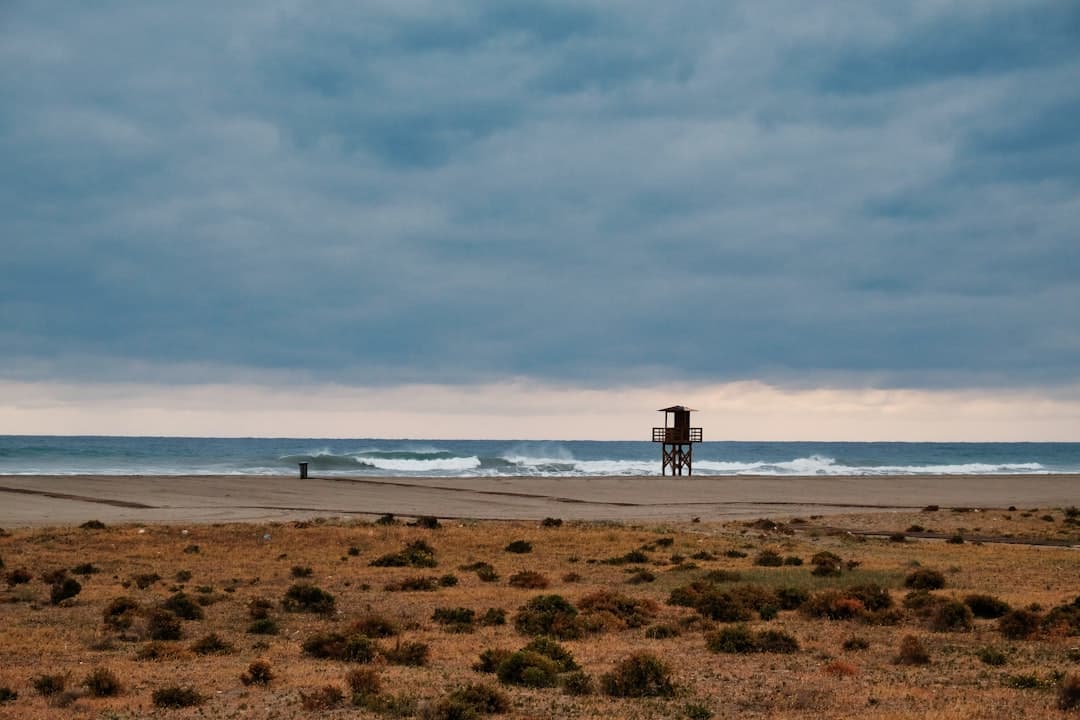 Arena marrón junto al agua bajo el sol, en el chat de Garrucha