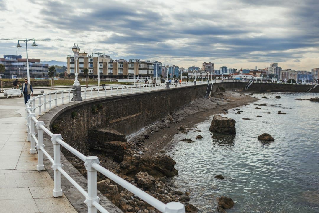 Paseo marítimo con arena, palmeras y edificios urbanos al fondo, en el chat de Gijón