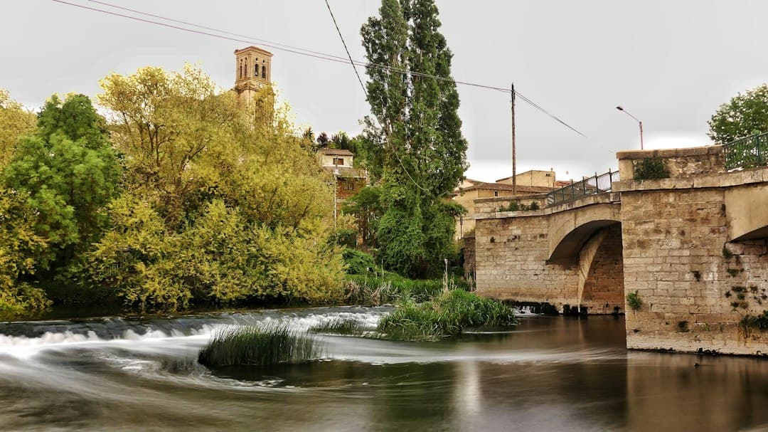 Un río que atraviesa un bosque de vegetación densa, en el chat de As Pontes de García Rodríguez