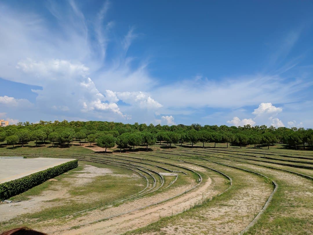 Un campo abierto amplio con varios árboles dispersos, en el chat de Sabadell