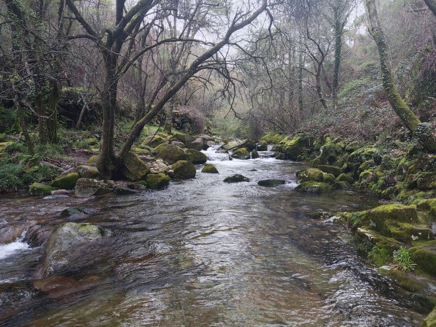 Vista de A Pobra do Caramiñal, España