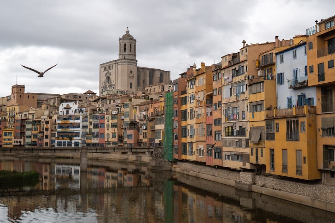 Edificio de concreto junto a un río, en la sala de chat de El Pinós/Pinoso
