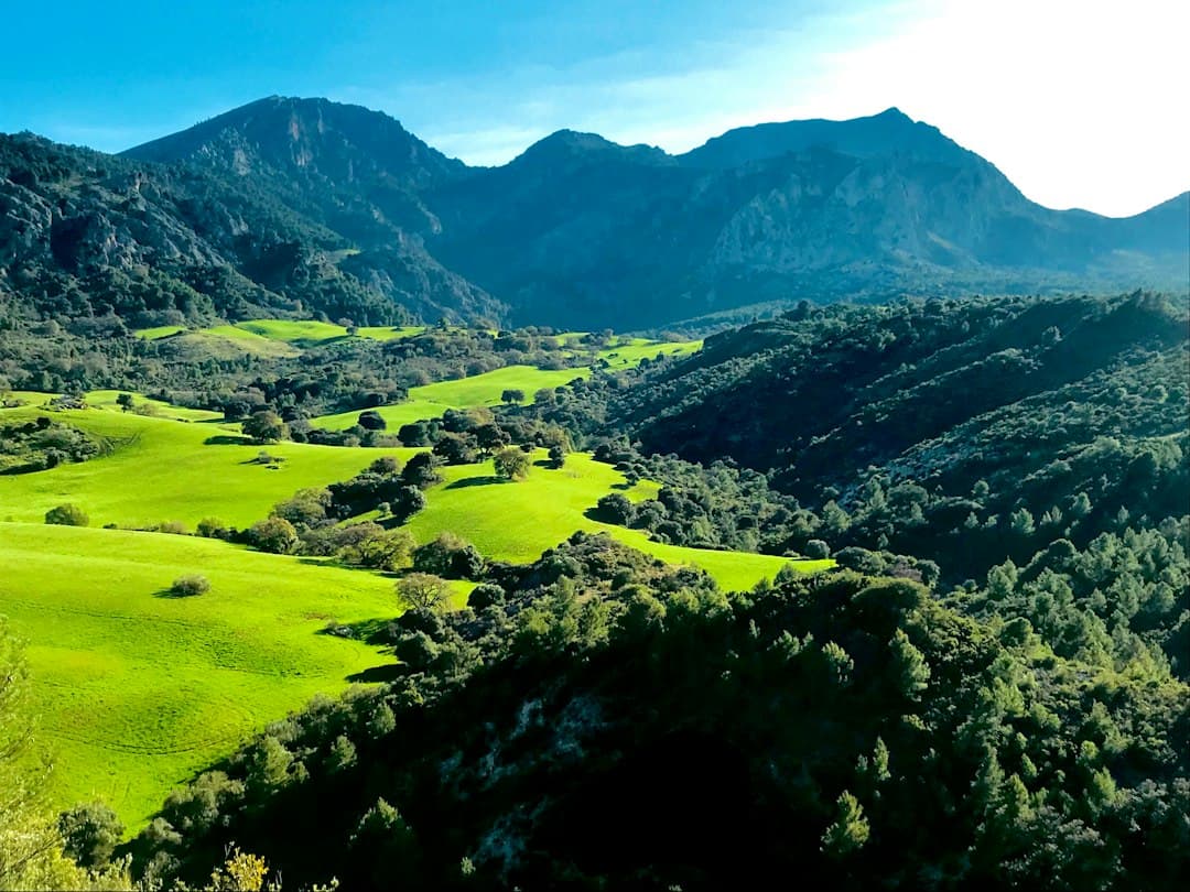 Campo de hierba verde con montañas al fondo durante el día, en el chat de Berango