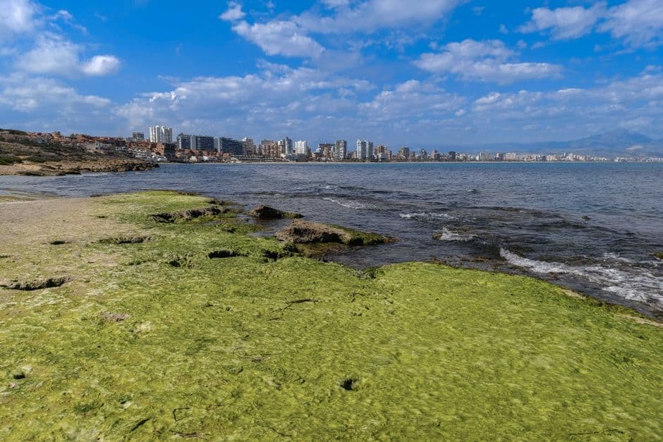 Costa de Alicante con ciudad al fondo, en la sala de chat de Vinaròs