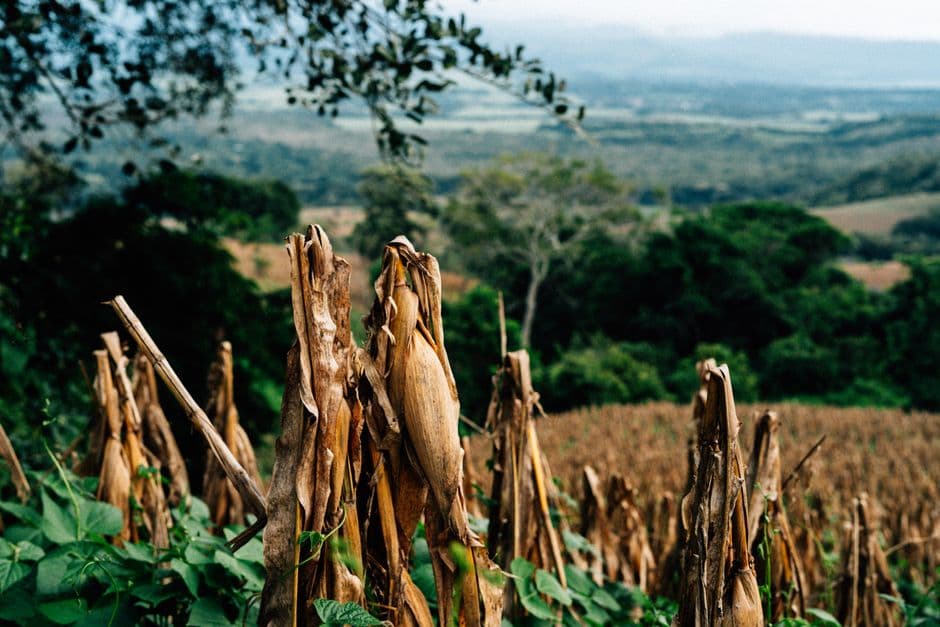Vista de Milpa Alta, México