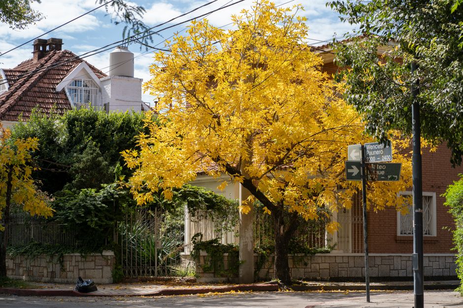 Vista de Cañuelas, Argentina