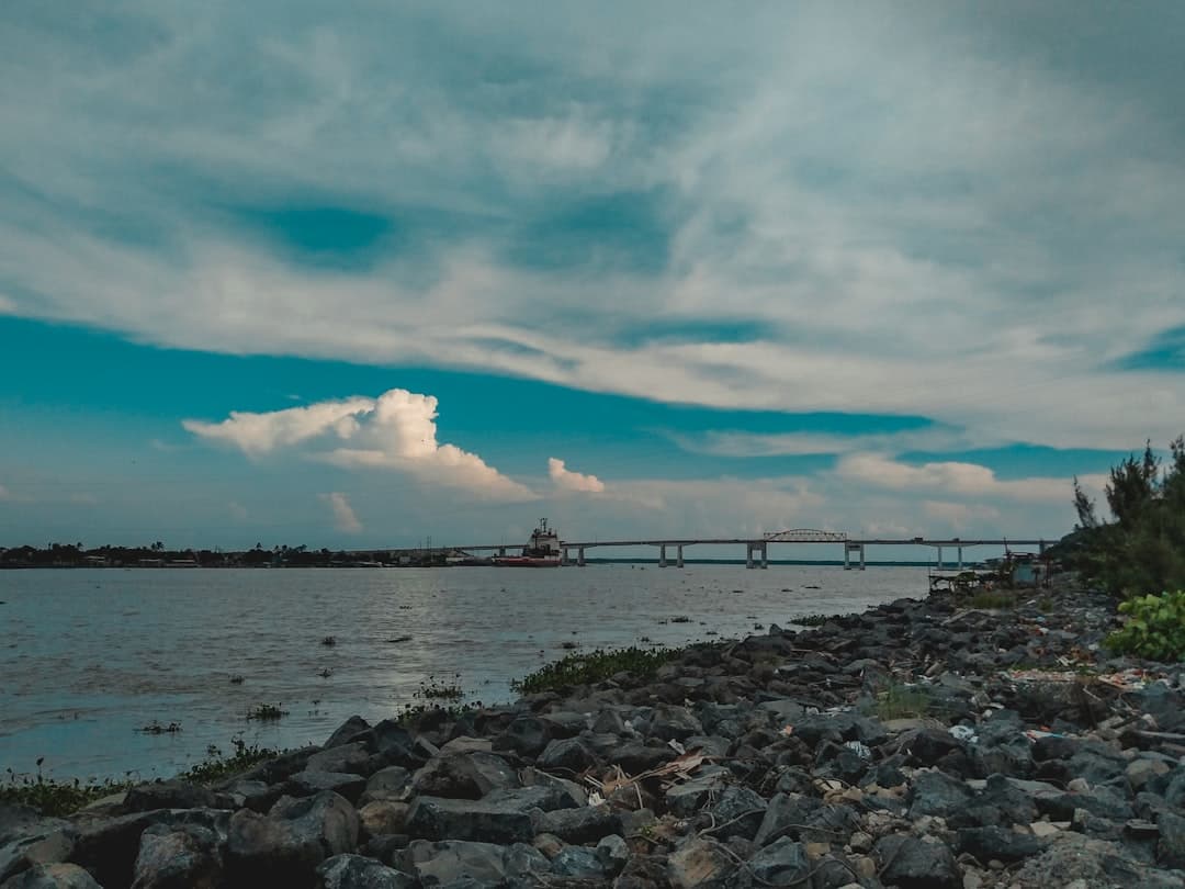 Vista de Alvarado, México