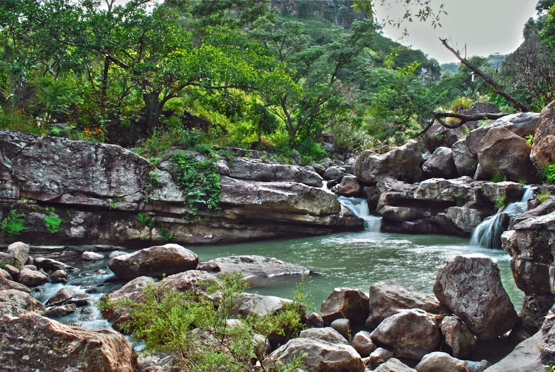 Vista de Poncitlán, México