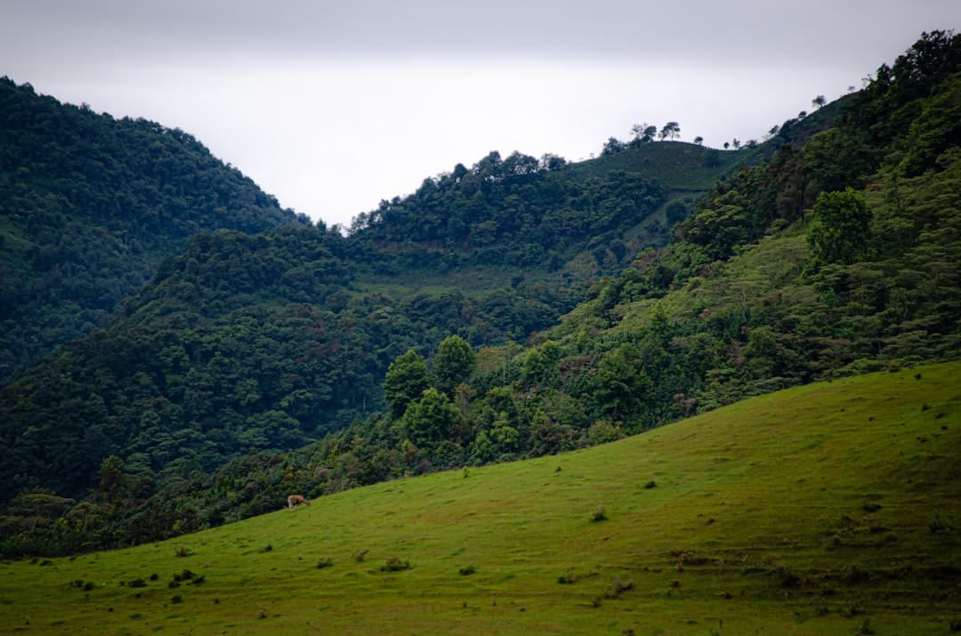 Vista de Coyotepec, México