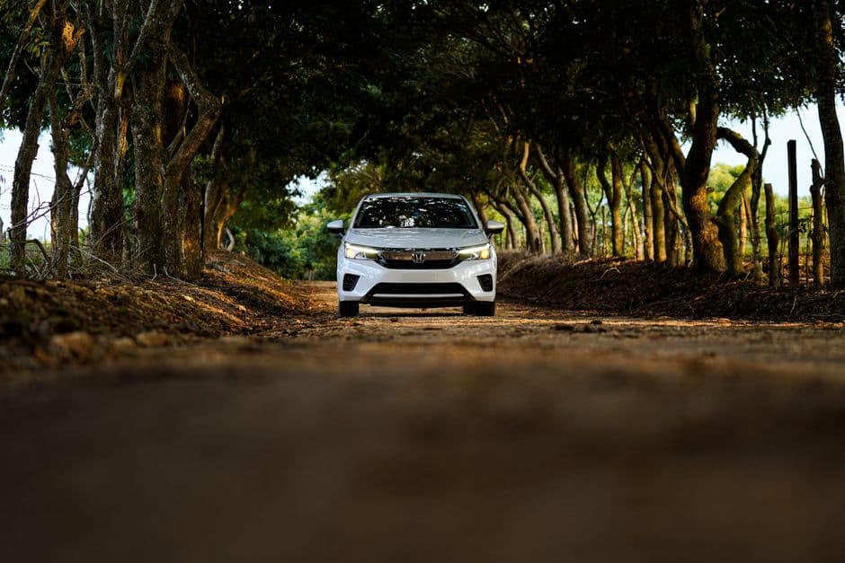 Coche blanco en un camino de tierra entre árboles, en el chat de Loma Bonita