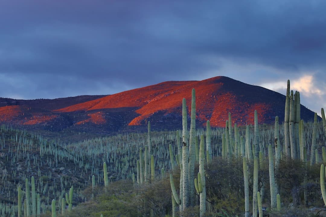 Vista de Valle de los Molinos, México