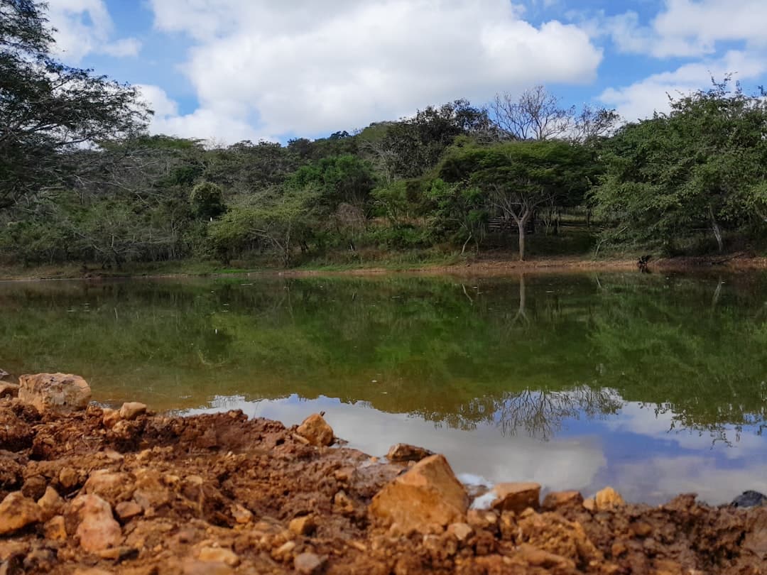 Vista de Villaflores, México