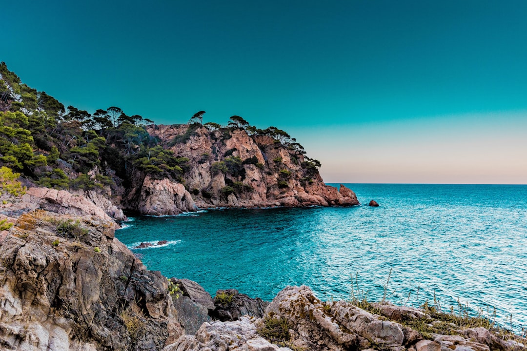 Foto de Marbella