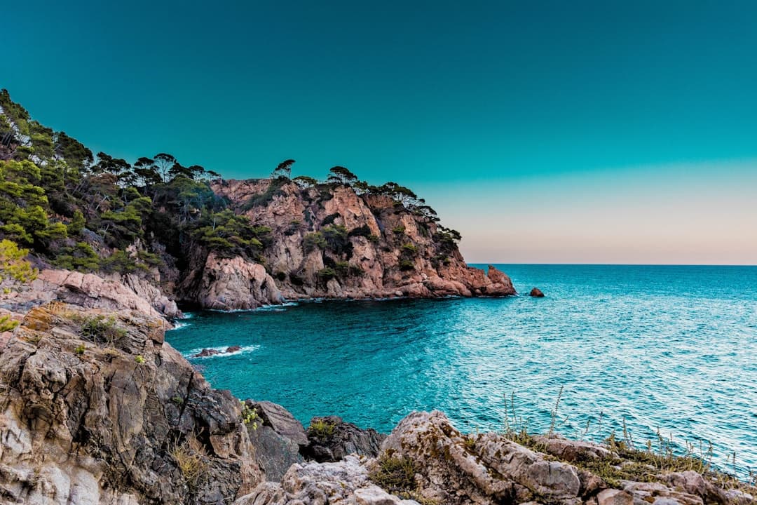 Islas cubiertas de árboles verdes, en la sala de chat de Marbella
